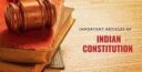 constitutionhub.com